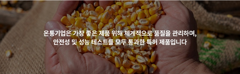 안전성 검증